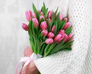 Букет із 25 рожевих тюльпанів стандарт під стрічку.