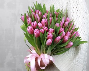 Букет із 51 рожевого тюльпану під стрічку.
