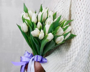Букет із 25 білих тюльпанів стандарт під стрічку