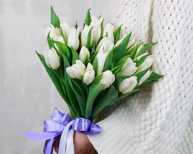 Букет із 25 білих тюльпанів стандарт під стрічку