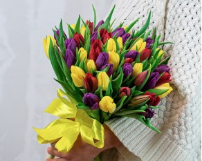 Букет із 51 тюльпану яскравий мікс під стрічку