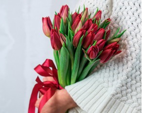 Букет із 25 червоних тюльпанів стандарт під стрічку
