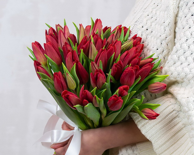 Букет із 51 червоного тюльпану під стрічку