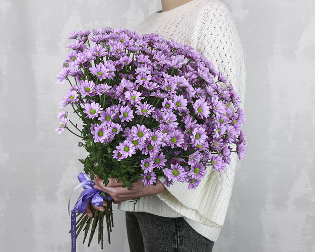 Букет із 25 фіолетових кущових хризантем під стрічку