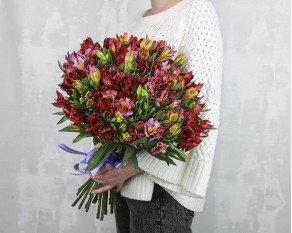 Букет із 25 альстромерій яскравий мікс під стрічку