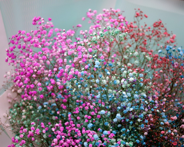 Букет з гіпсофілу Зірковий пил