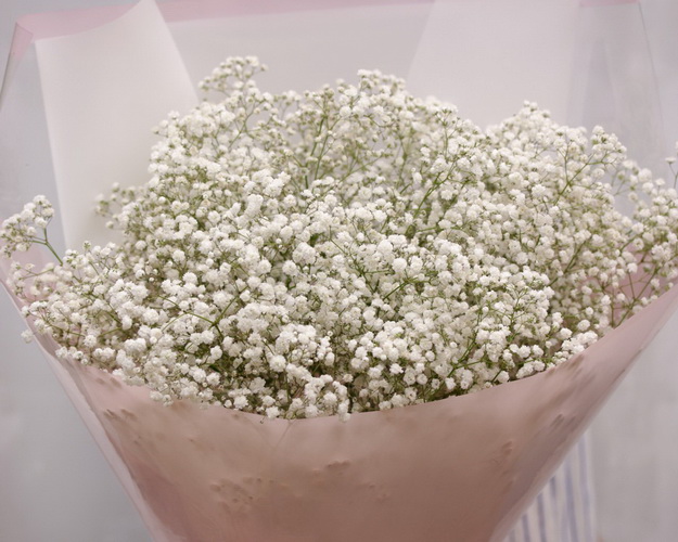 Букет з гіпсофілу Ранковий іній