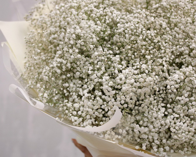 Букет з гіпсофіл Мерехтіння місяця