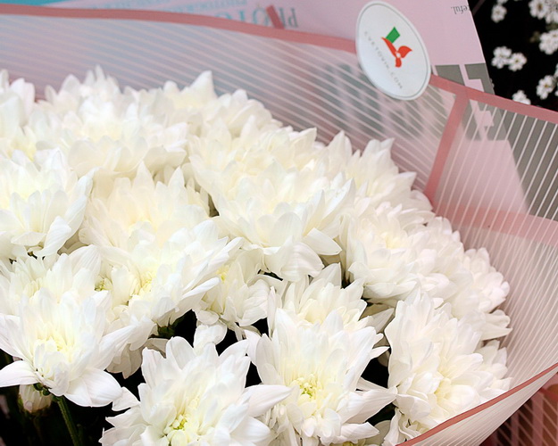 Букет із 5 білих кущових хризантем в стильній упаковці