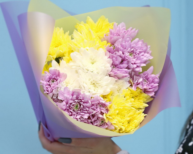 Букет із 5 кущових хризантем мікс у стильній упаковці