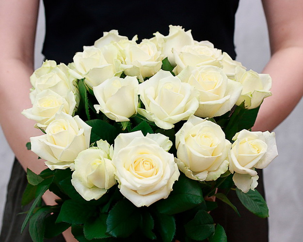 Букет із 19 білих троянд під стрічку