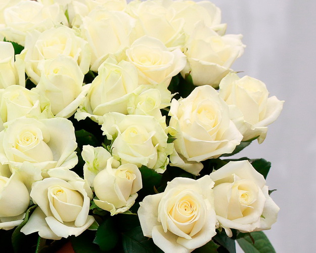 Букет із 19 білих троянд під стрічку