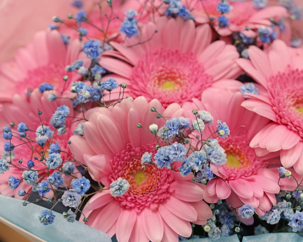 Букет квітів Місячна соната