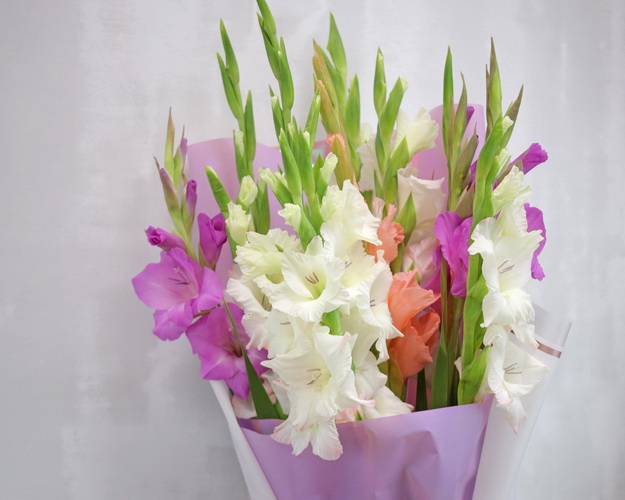 Букет з 11 гладіолусів мікс у дизайнерській упаковці