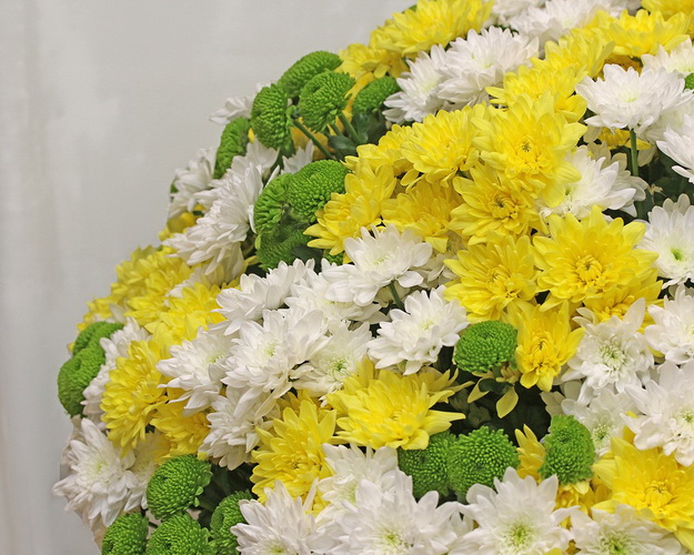 Кошик квітів із 101 кущової хризантеми
