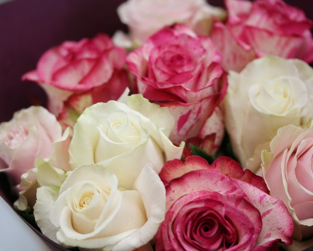 Букет з 11 троянд Рожевий мікс в упакуванні