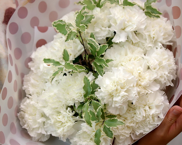 Букет із 25 білих гвоздик із зеленню в стильній упаковці.