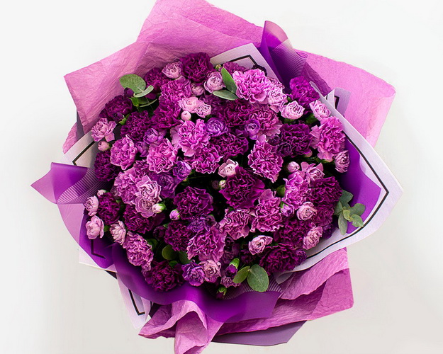 Букет із 51 місячних гвоздик з евкаліптом.