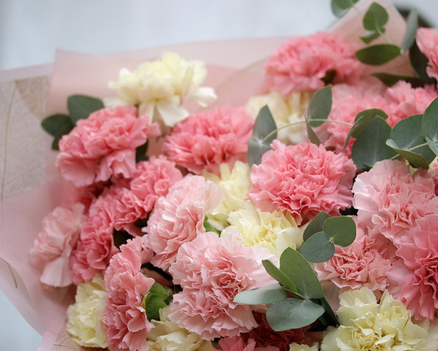 Букет з 51 діантуса мікс із зеленню в стильній упаковці