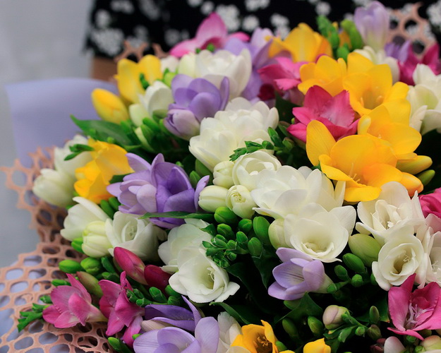 Букет із 49 фрезій мікс у стильній упаковці