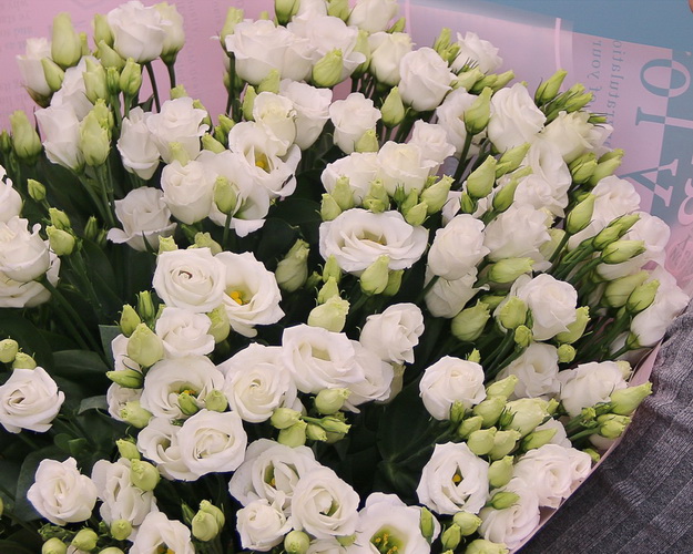 Букет із 49 білих лізіантусів у стильній упаковці.