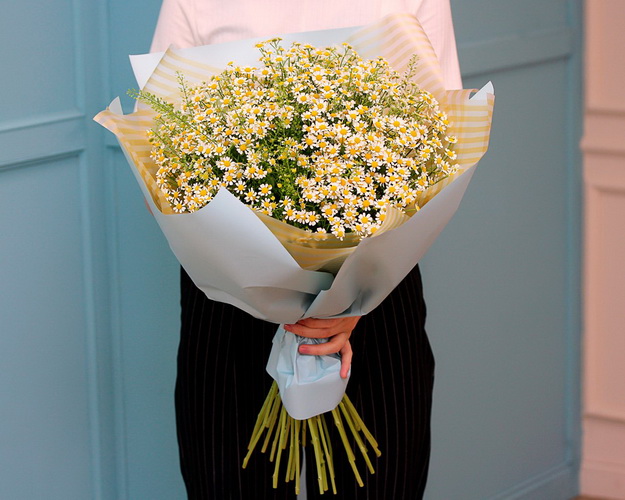 Букет із 25 матрикарій із зеленню в стильній упаковці