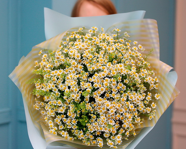 Букет із 25 матрикарій із зеленню в стильній упаковці