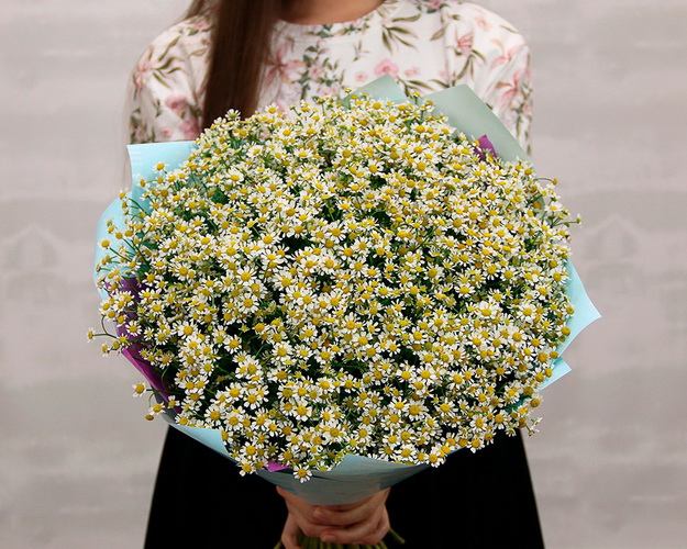 Букет із 35 матрикарій у дизайнерській упаковці.