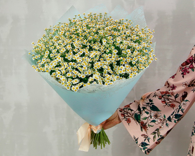 Букет із 49 матрикарій у дизайнерській упаковці.