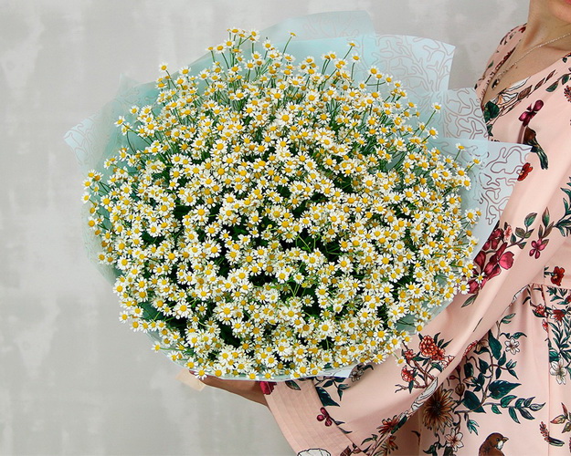 Букет із 49 матрикарій у дизайнерській упаковці.