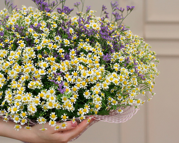 Букет Ромашкове поле