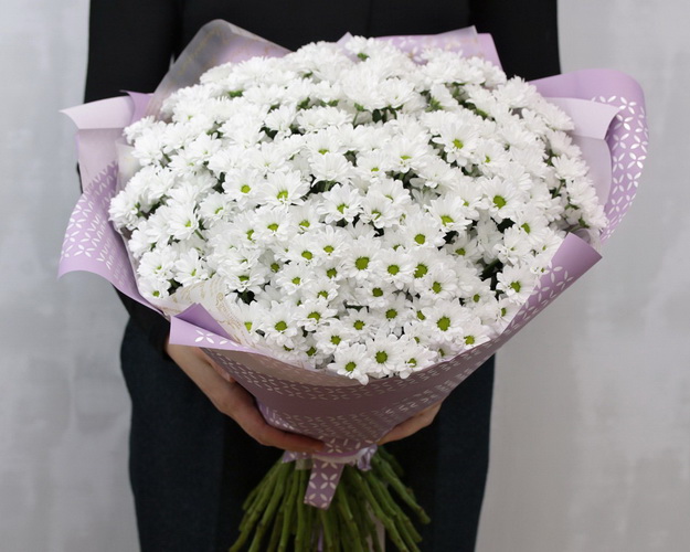 Букет із 49 білих кущових хризантем в стильній упаковці