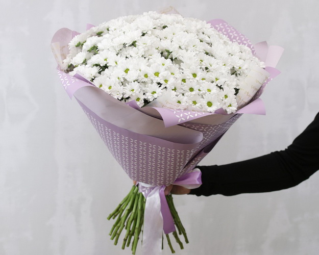 Букет із 49 білих кущових хризантем в стильній упаковці