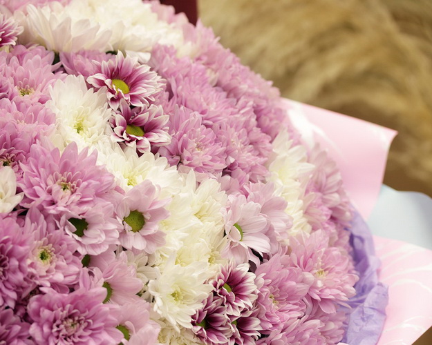 Букет з 51 хризантеми кущової ніжний мікс в стильній упаковці