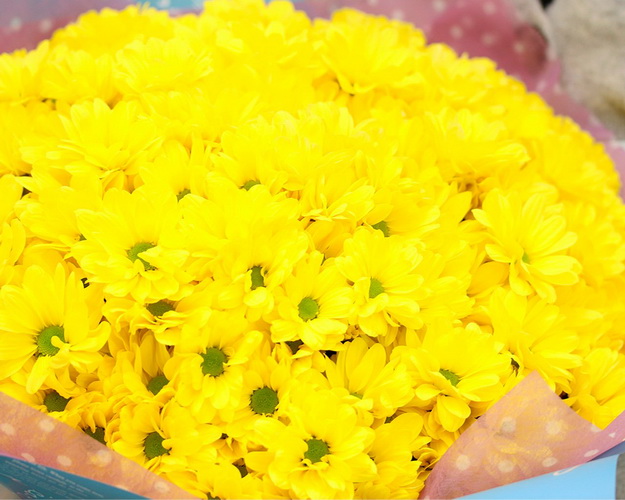 Букет з 25 жовтих кущових хризантем