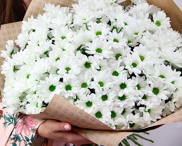 Букет із 25 білих кущових хризантем у стильній упаковці.