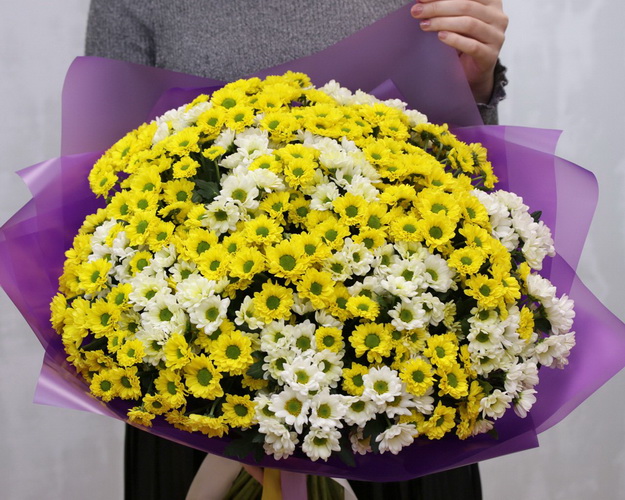Букет із 49 кущових хризантем в стильній упаковці