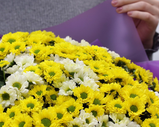 Букет із 49 кущових хризантем в стильній упаковці