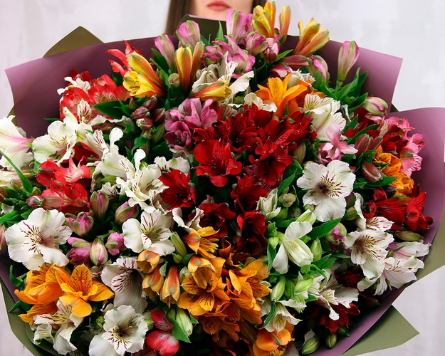 Букет із 35 альстромерій мікс у стильній упаковці.