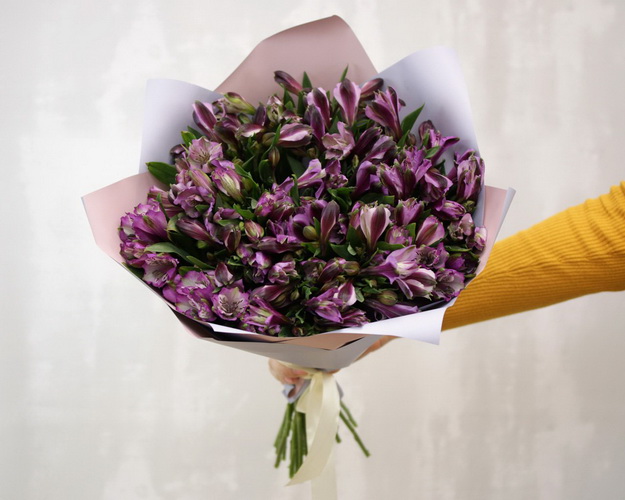 Букет із 35 фіолетових альстромерій у стильній упаковці.