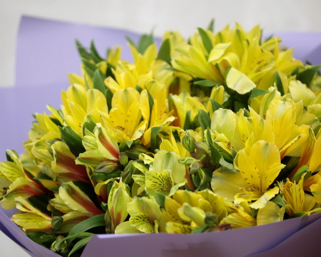 Букет із 25 жовтих альстромерій у стильній упаковці.