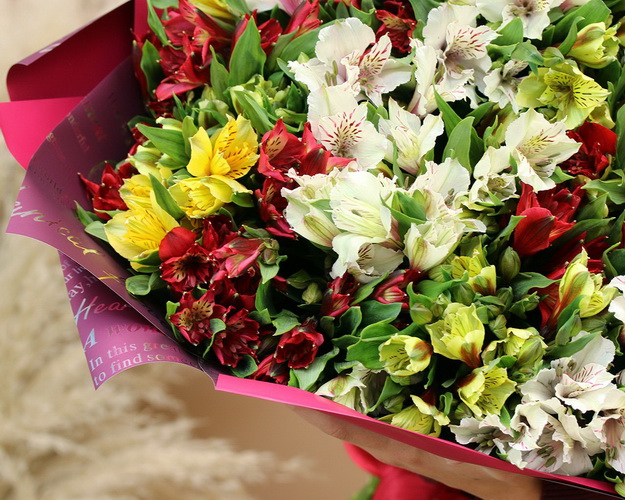 Букет із 55 альстромерій мікс у стильній упаковці.