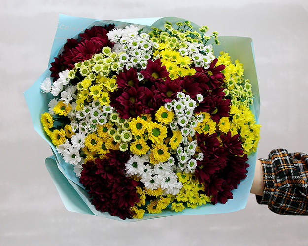 Букет із 25 кущових хризантем яскравий мікс