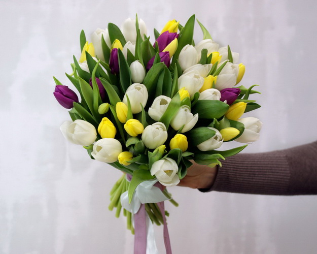 Букет із 51 тюльпану ніжний мікс під атласну стрічку