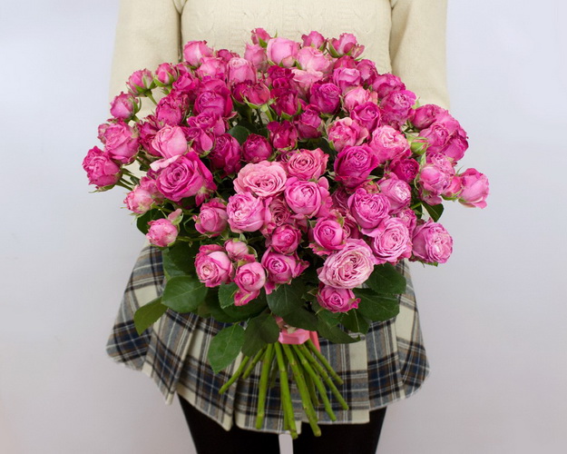 Троянда кущова Леді Бомбастик