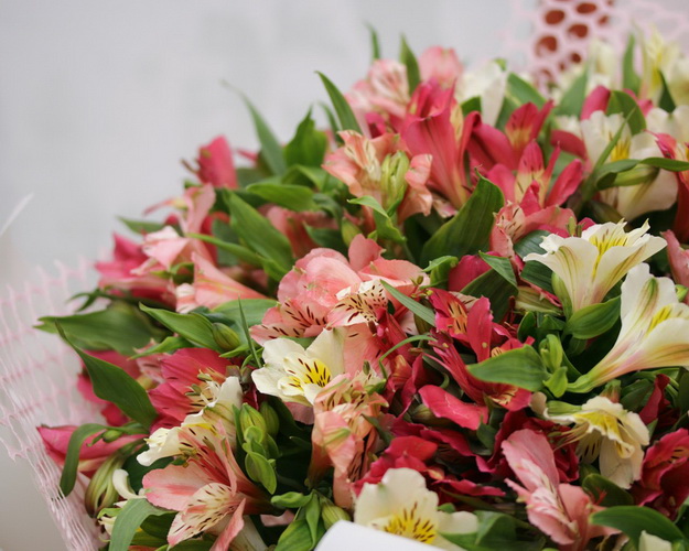 Букет із 35 альстромерій ніжний мікс у стильній упаковці.