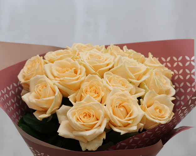 Букет із 15 кремових троянд з упакуванням