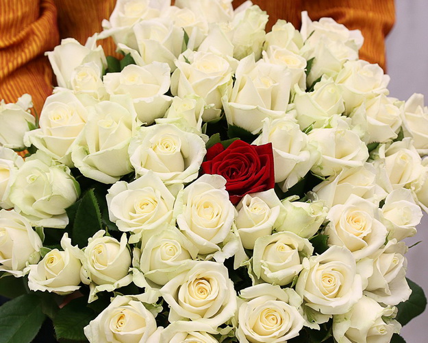 Букет із 51 троянди під стрічку