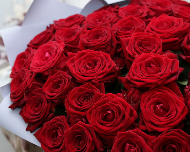 Букет із 51 червоної троянди в упакуванні