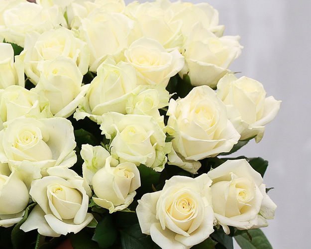 Букет із 41 білої троянди під стрічку